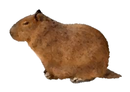 Capybara